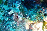 DSC02223.jpg